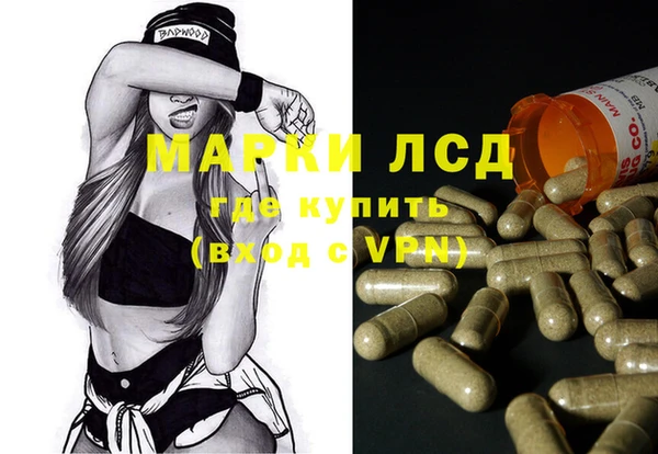 прущие грибы Баксан
