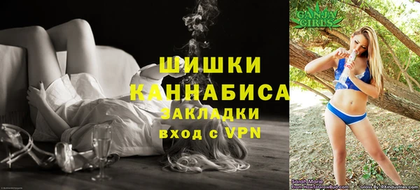 индика Балабаново
