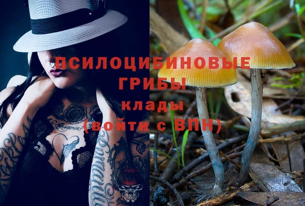 индика Балабаново
