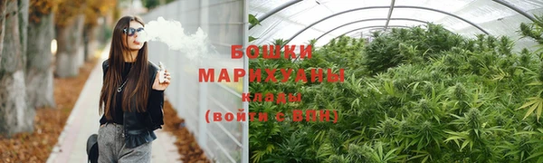 прущие грибы Баксан